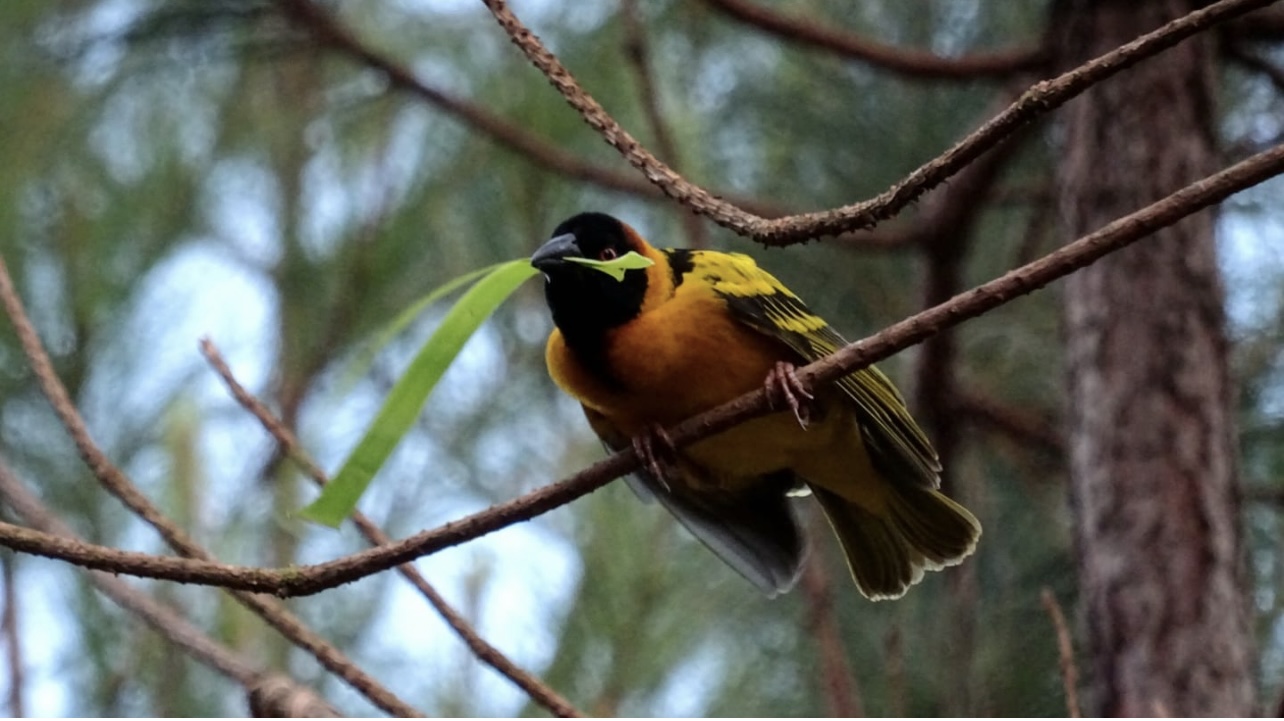 kina africa expeditions