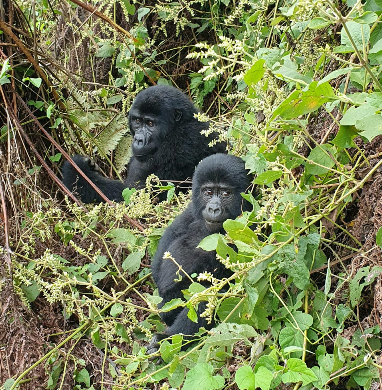 Kina Africa Expeditions