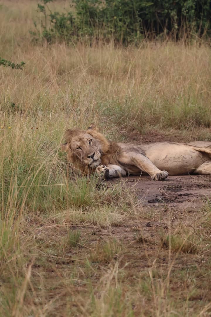 Kina Africa Expeditions