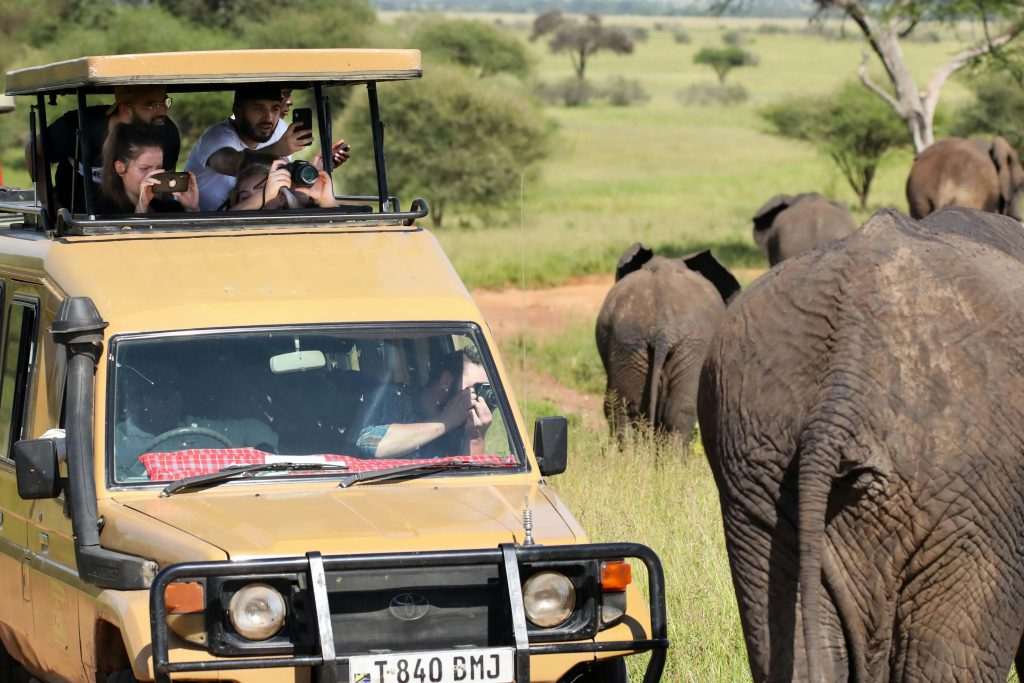 When Is the Best Time to Visit Uganda for Safari?